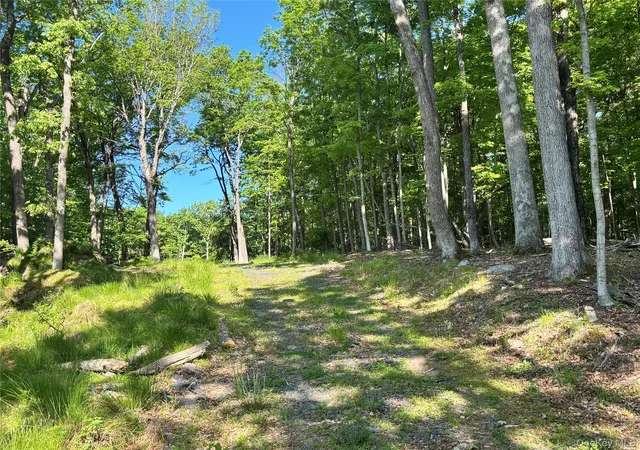 3rd image of South Plank Rd, Westtown, NY 10998 | MLS# 1002694