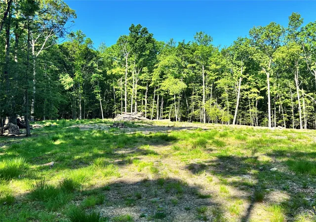5th image of South Plank Rd, Westtown, NY 10998 | MLS# 1002694