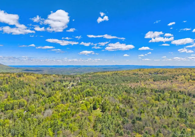 Land for sale at 334 Yerry Hl Rd, Woodstock, NY 12498 | MLS# 1002847