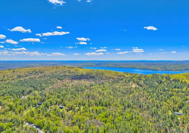Photo 1 of Land for sale at 334 Yerry Hl Rd, Woodstock, NY 12498 | MLS# 1002847 | Listing updated on 2026-10-28