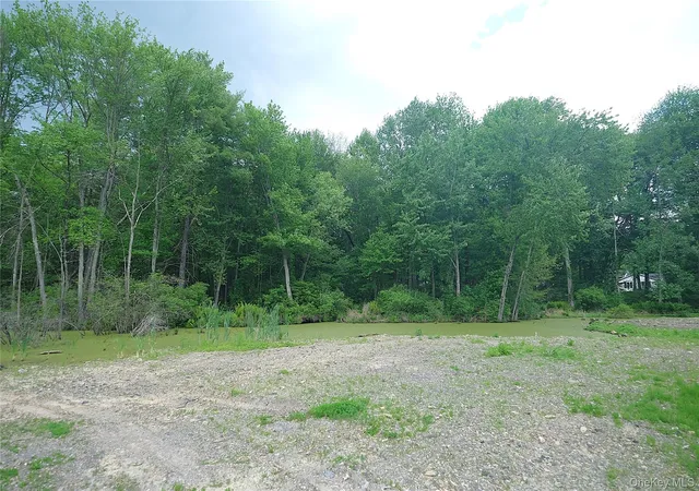 Homes for sale in Hyde Park, NY | 17 Roosevelt Rd, Hyde Park, NY 12538 | MLS# 1003110