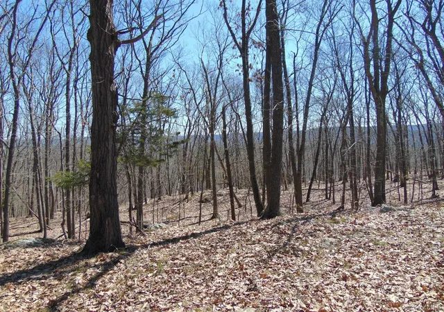 Photo 3 of Land for sale at 382 Cedar Hl Rd, Fishkill, NY 12524 | MLS# 1003271 | Listing updated on 2026-05-23