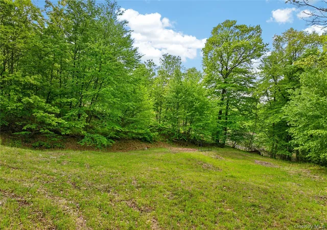 50th image of 12 Parks Wood Dr, Cornwall, NY 12518 | MLS# 1003280