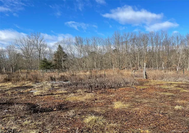 Homes for sale in Hyde Park, NY | 1209 Route 9g, Hyde Park, NY 12538 | MLS# 1003325
