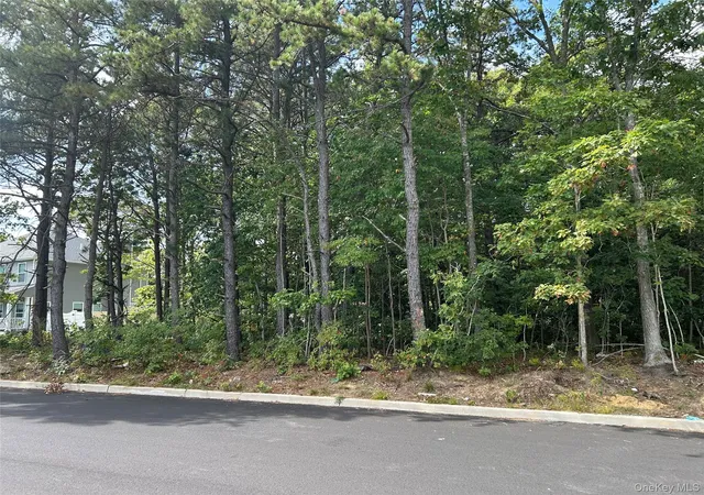 1st image of 18 Manhattan Ave, Centereach, NY 11720 | MLS# 1004396