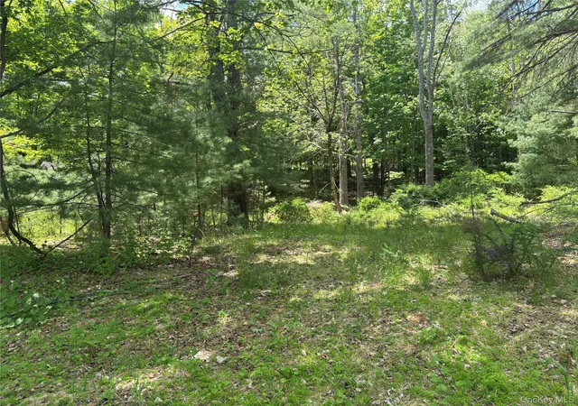 Photo 1 of Land for sale at 400 Red Hl Rd, Mamakating, NY 12790 | MLS# 1004650 | Listing updated on 2026-08-26
