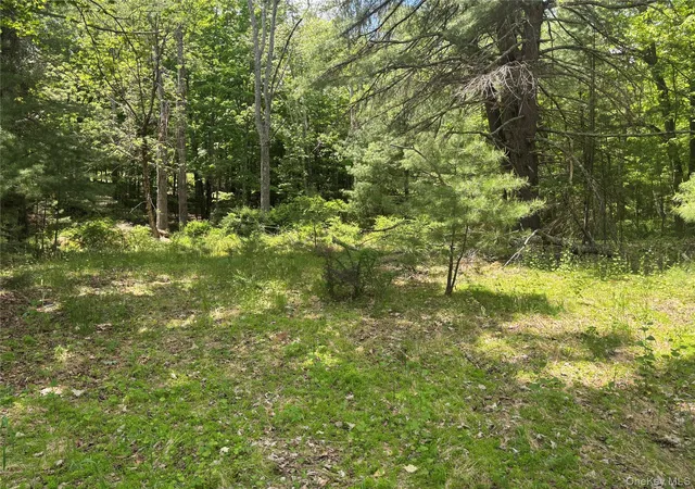 Photo 2 of Land for sale at 400 Red Hl Rd, Mamakating, NY 12790 | MLS# 1004650 | Listing updated on 2026-08-26