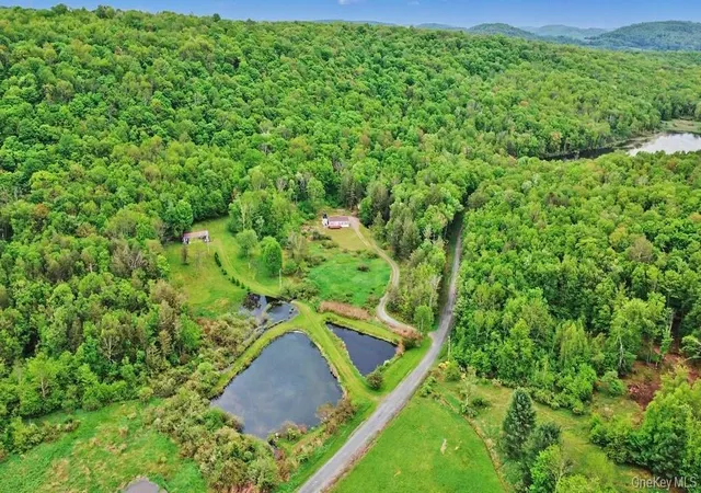 Photo 5 of Manufactured home for sale at 308 William Brown Rd, Fremont, NY 12736 | MLS# 1004997 | Listing updated on 2026-07-08