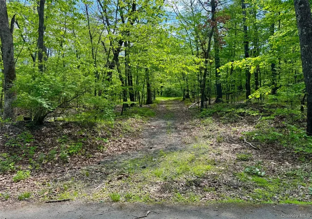 Photo 4 of Land for sale at Tbd Bill Matter Rd, Coxsackie, NY 12051 | MLS# 1005044 | Listing updated on 2026-05-28