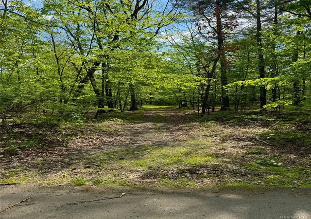 Photo 5 of Land for sale at Tbd Bill Matter Rd, Coxsackie, NY 12051 | MLS# 1005044 | Listing updated on 2026-05-28