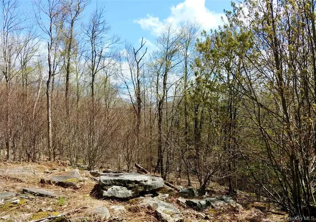 Photo 1 of Land for sale at Shandelee Rd, Callicoon, NY 12758 | MLS# 1005045 | Listing updated on 2026-05-28