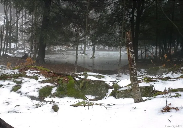 Photo 11 of Land for sale at Shandelee Rd, Callicoon, NY 12758 | MLS# 1005045 | Listing updated on 2026-05-28