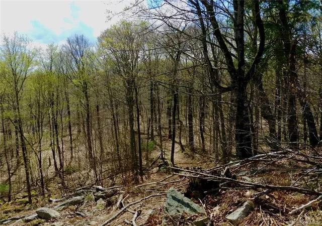 Photo 2 of Land for sale at Shandelee Rd, Callicoon, NY 12758 | MLS# 1005045 | Listing updated on 2026-05-28