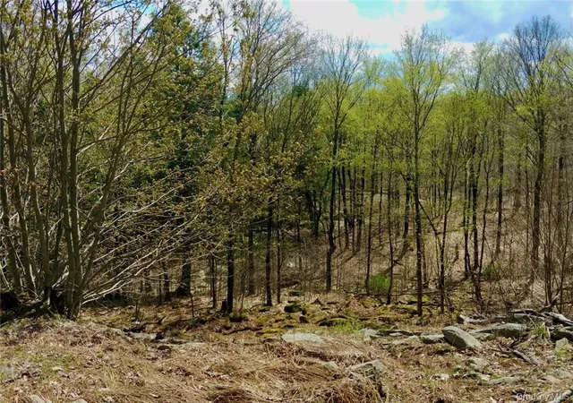 Photo 3 of Land for sale at Shandelee Rd, Callicoon, NY 12758 | MLS# 1005045 | Listing updated on 2026-05-28
