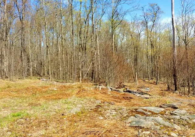 Photo 4 of Land for sale at Shandelee Rd, Callicoon, NY 12758 | MLS# 1005045 | Listing updated on 2026-05-28