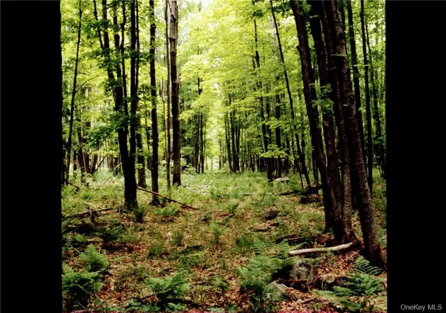 Photo 5 of Land for sale at Shandelee Rd, Callicoon, NY 12758 | MLS# 1005045 | Listing updated on 2026-05-28