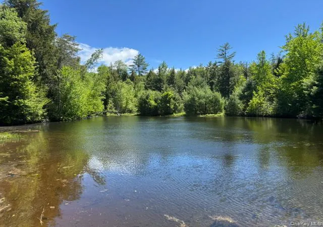 Homes for sale in Warrensburg, NY | Pucker St, Warrensburg, NY 12885 | MLS# 1005226