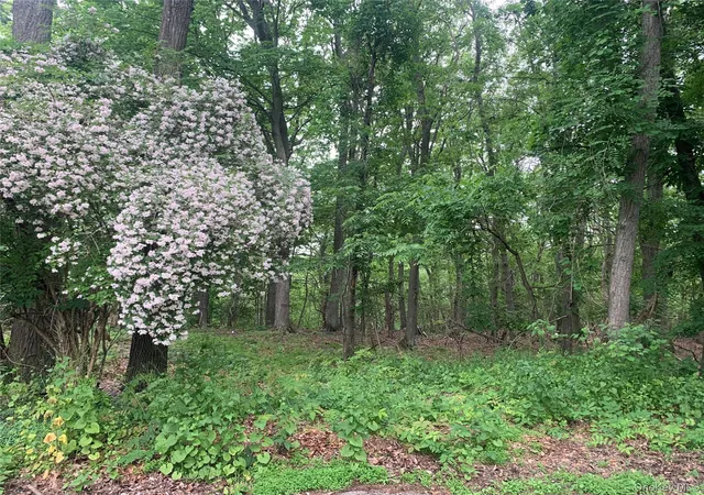 Photo 1 of Land for sale at 105 Laurel Ln, Port Jefferson, NY 11777 | MLS# 1005293 | Listing updated on 2026-05-29