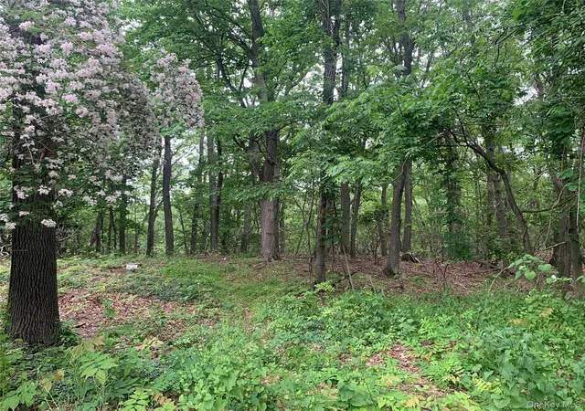 Photo 2 of Land for sale at 105 Laurel Ln, Port Jefferson, NY 11777 | MLS# 1005293 | Listing updated on 2026-05-29