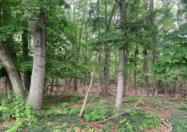 Photo 3 of Land for sale at 105 Laurel Ln, Port Jefferson, NY 11777 | MLS# 1005293 | Listing updated on 2026-05-29
