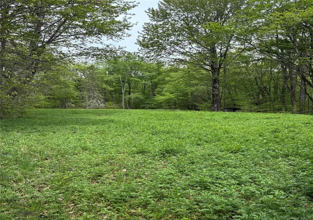 Homes for sale in Andes, NY | 1 Mountain Lake Rd, Andes, NY 13731 | MLS# 1005926