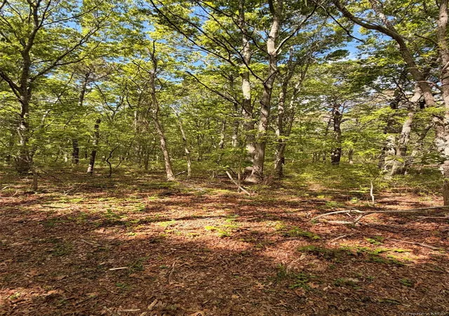 2nd image of 30 Bellhaven Rd, Bellport, NY 11713 | MLS# 1006398