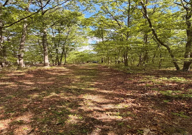 3rd image of 30 Bellhaven Rd, Bellport, NY 11713 | MLS# 1006398
