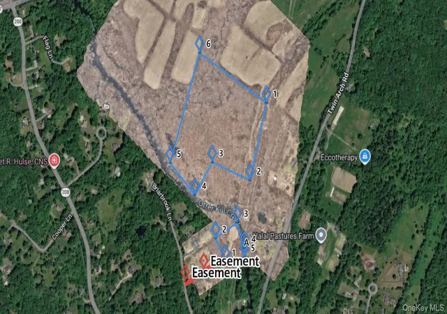 Homes for sale in Hamptonburgh, NY | W Twin Arch Rd, Hamptonburgh, NY 10916 | MLS# 1006417