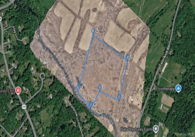 Homes for sale in Hamptonburgh, NY | W Twin Arch Rd, Hamptonburgh, NY 10916 | MLS# 1006417