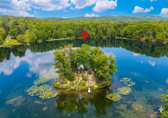 Homes for sale in Pine Plains, NY | 71 Lake Shore Rd, Pine Plains, NY 12567 | MLS# 1006565