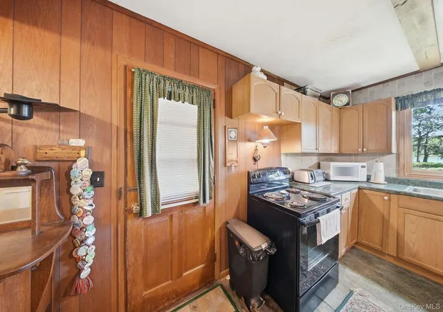 Homes for sale in Mamakating, NY | 67 East Rd, Mamakating, NY 12790 | MLS# 1006663