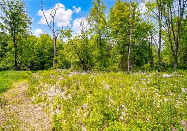24th image of Cr 2 Rd, Red Hook, NY 12571 | MLS# 1006768