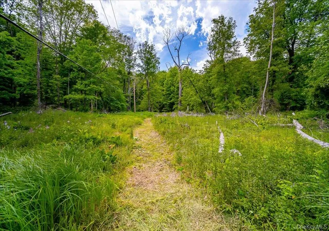 4th image of Cr-2 Rd, Red Hook, NY 12571 | MLS# 1006768