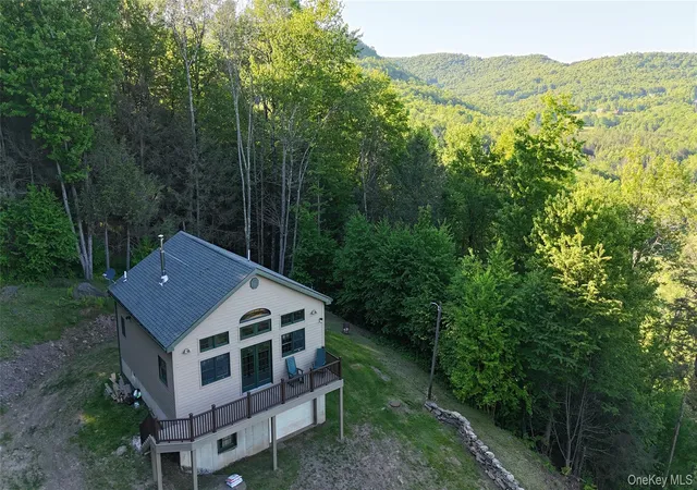 Homes for sale in Colchester, NY | 157 Wolfs Lair, Colchester, NY 13782 | MLS# 1006997