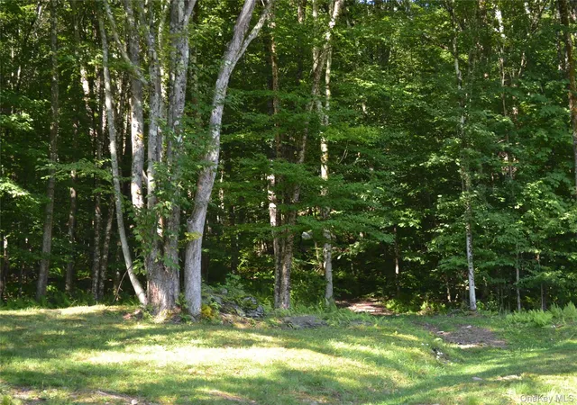 Photo 41 of Single family home for sale at 157 Wolfs Lair, Hamden, NY 13782 | MLS# 1006997 | Listing updated on 2026-08-25