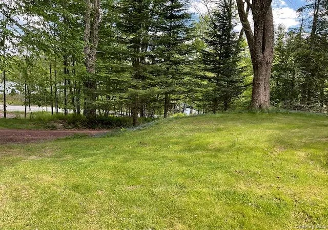 Homes for sale in Fremont, NY | 5 Lake Muskoday Rd, Fremont, NY 12776 | MLS# 1007013