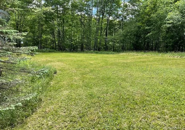 Homes for sale in Fremont, NY | 5 Lake Muskoday Rd, Fremont, NY 12776 | MLS# 1007013
