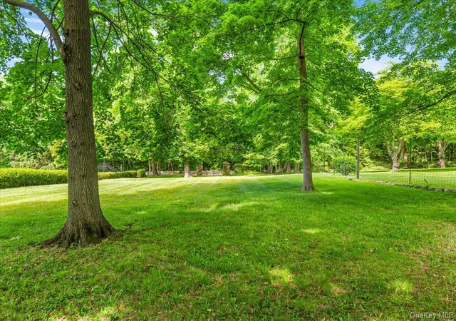 3rd image of Parcel #0641-25 Purchase St, Purchase, NY 10577 | MLS# 1007244
