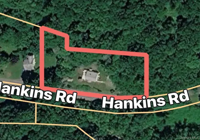 Homes for sale in Fremont, NY | 441 County Rd 94 Hankins, Fremont, NY 12741 | MLS# 1007763