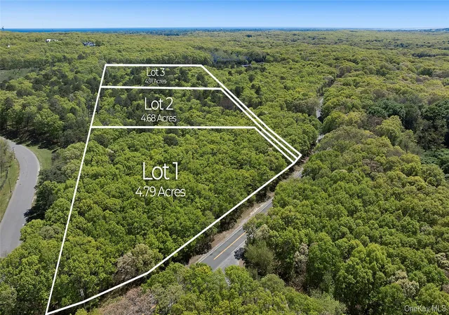 2nd image of 1240 Majors Path, Southampton, NY 11968 | MLS# 1007816