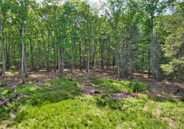 Homes for sale in Mamakating, NY | Jersey Rd, Mamakating, NY 12790 | MLS# 1008264