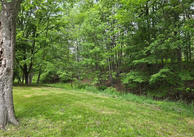 Homes for sale in Fallsburg, NY | 11 Spring Glen Rd, Fallsburg, NY 12763 | MLS# 1008357