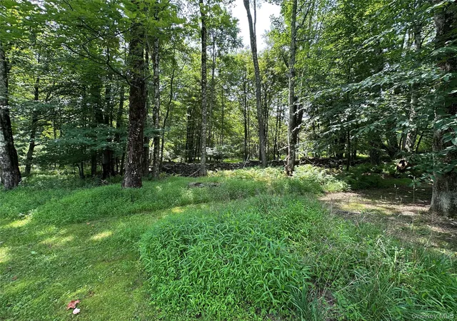 3rd image of 81 Lindholm Rd, Fallsburg, NY 12747 | MLS# 1008393
