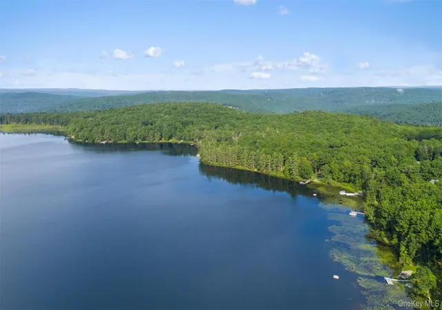 Homes for sale in Highland, NY | 253 York Lake Estates Rd, Highland, NY 12719 | MLS# 1008451