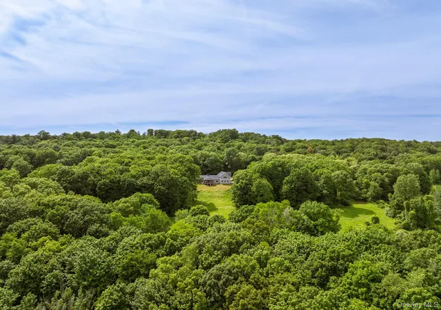 Homes for sale in New Baltimore, NY | 1530 River Rd, New Baltimore, NY 12124 | MLS# 1008680