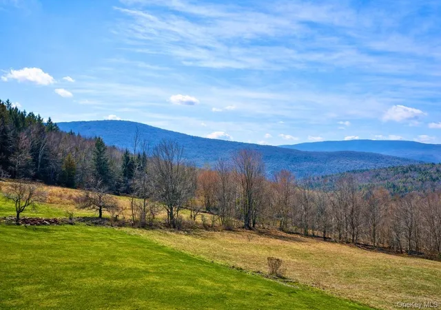 Photo 2 of Land for sale at Hog Mountain, Fleischmanns, NY 12430 | MLS# 1009128 | Listing updated on 2026-06-04