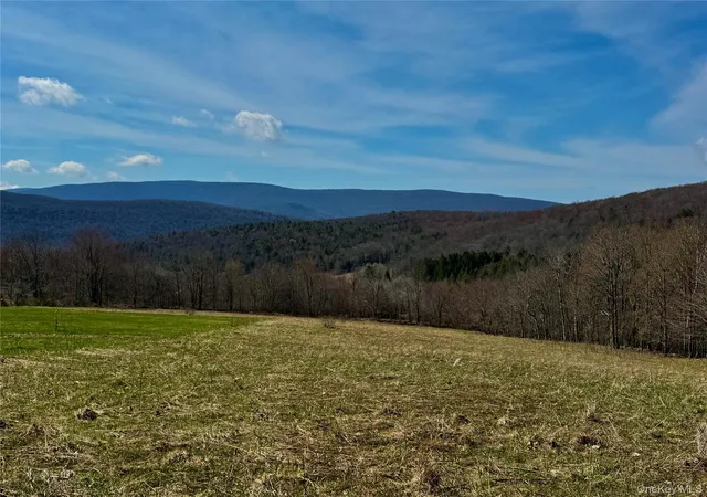 Photo 21 of Land for sale at Hog Mountain, Fleischmanns, NY 12430 | MLS# 1009128 | Listing updated on 2026-06-04