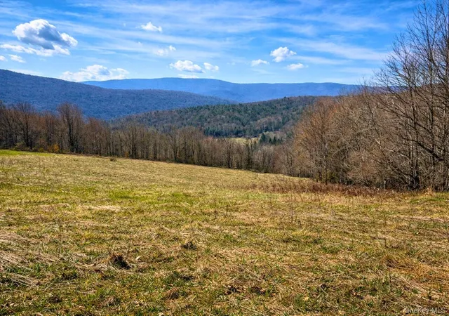 Photo 3 of Land for sale at Hog Mountain, Fleischmanns, NY 12430 | MLS# 1009128 | Listing updated on 2026-06-04