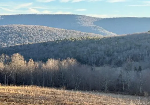 Photo 4 of Land for sale at Hog Mountain, Fleischmanns, NY 12430 | MLS# 1009128 | Listing updated on 2026-06-04