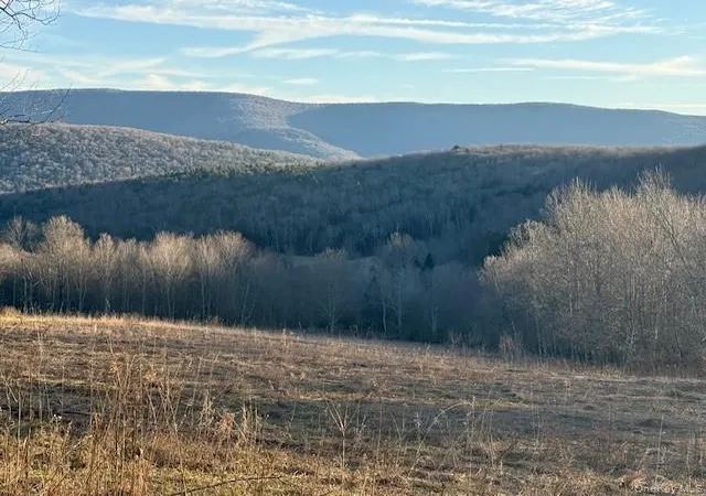 Photo 5 of Land for sale at Hog Mountain, Fleischmanns, NY 12430 | MLS# 1009128 | Listing updated on 2026-06-04